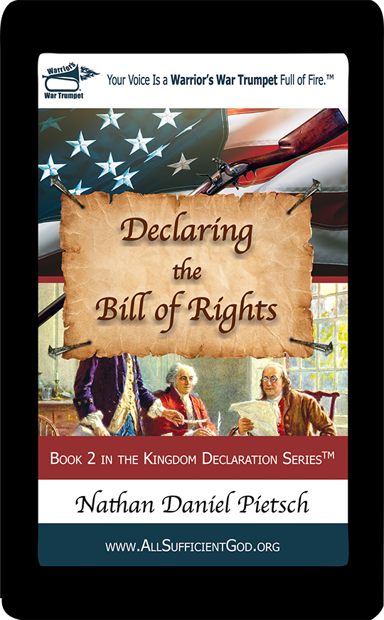 eBook :: Declaring the Bill of Rights