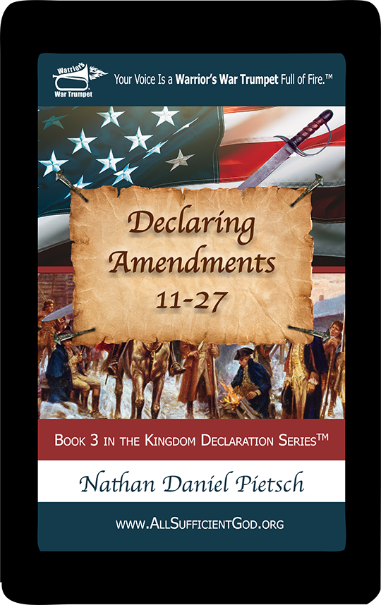 eBook :: Declaring Amendments 11-27
