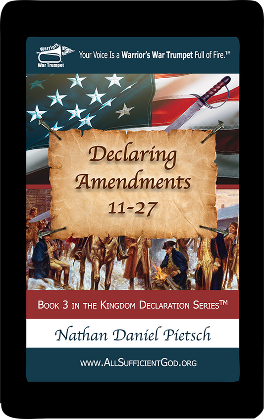 eBook :: Declaring Amendments 11-27